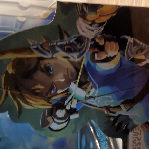 Breath of the wild Link - Picture 5 of 6